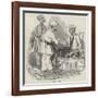 Bokhara Chief-null-Framed Giclee Print