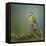 Bokmakierie Bird Calling - Telophorus Zeylonus - South Africa-Johan Swanepoel-Framed Stretched Canvas
