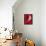 Bold as Love-Guilherme Pontes-Framed Stretched Canvas displayed on a wall