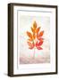 Bold Foliage 1-Kimberly Allen-Framed Art Print