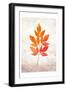 Bold Foliage 1-Kimberly Allen-Framed Art Print