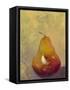 Bold Fruit VI-Mehmet Altug-Framed Stretched Canvas