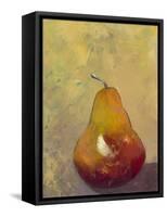 Bold Fruit VI-Mehmet Altug-Framed Stretched Canvas