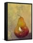 Bold Fruit VI-Mehmet Altug-Framed Stretched Canvas