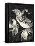 Bold II Dark Vertical-Albena Hristova-Framed Stretched Canvas