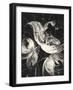 Bold II Dark Vertical-Albena Hristova-Framed Art Print