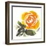 Bold Roses II-Kristy Rice-Framed Art Print