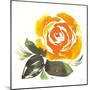 Bold Roses II-Kristy Rice-Mounted Art Print