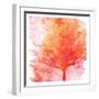 Bold Trees 2-Kimberly Allen-Framed Art Print