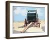 Bold Wagon II-Emily Kalina-Framed Art Print