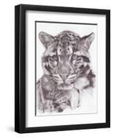 Bold-Barbara Keith-Framed Premium Giclee Print