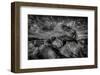 Bolder-Bob Larson-Framed Art Print