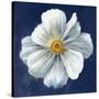 Boldest Bloom I Dark Blue-Danhui Nai-Stretched Canvas
