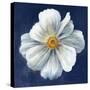 Boldest Bloom I Dark Blue-Danhui Nai-Stretched Canvas