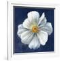 Boldest Bloom I Dark Blue-Danhui Nai-Framed Art Print