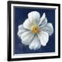 Boldest Bloom I Dark Blue-Danhui Nai-Framed Art Print