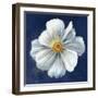 Boldest Bloom I Dark Blue-Danhui Nai-Framed Art Print