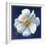 Boldest Bloom I Dark Blue-Danhui Nai-Framed Art Print