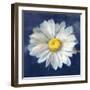 Boldest Bloom II Dark Blue-Danhui Nai-Framed Art Print