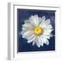 Boldest Bloom II Dark Blue-Danhui Nai-Framed Art Print