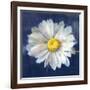 Boldest Bloom II Dark Blue-Danhui Nai-Framed Art Print