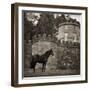 Bolesworth Horse-Pete Kelly-Framed Giclee Print