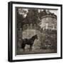 Bolesworth Horse-Pete Kelly-Framed Giclee Print