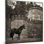 Bolesworth Horse-Pete Kelly-Mounted Giclee Print