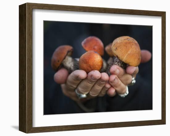 Boletus Mushrooms in Chokosna-Ethan Welty-Framed Photographic Print