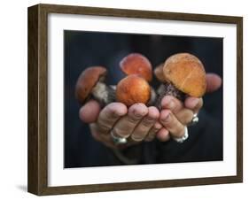 Boletus Mushrooms in Chokosna-Ethan Welty-Framed Photographic Print