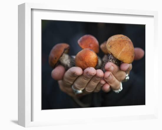Boletus Mushrooms in Chokosna-Ethan Welty-Framed Photographic Print