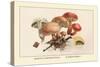 Boletus Subtomentosus and Boletus Chrysenteron-William Hamilton Gibson-Stretched Canvas