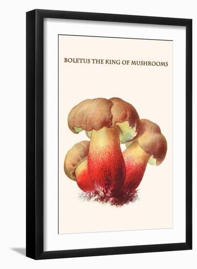 Boletus the King of Mushrooms-Edmund Michael-Framed Art Print