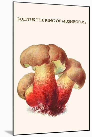 Boletus the King of Mushrooms-Edmund Michael-Mounted Art Print