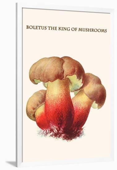 Boletus the King of Mushrooms-Edmund Michael-Framed Art Print