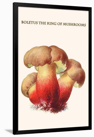 Boletus the King of Mushrooms-Edmund Michael-Framed Art Print