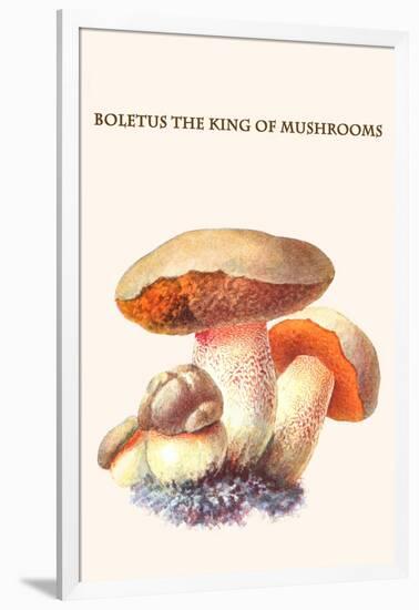 Boletus the King of Mushrooms-Edmund Michael-Framed Art Print