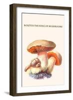 Boletus the King of Mushrooms-Edmund Michael-Framed Art Print