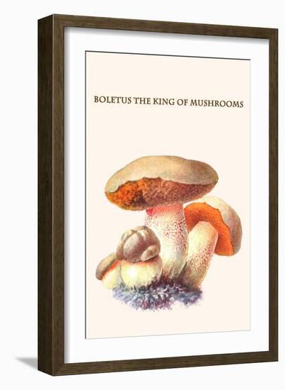 Boletus the King of Mushrooms-Edmund Michael-Framed Art Print