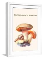 Boletus the King of Mushrooms-Edmund Michael-Framed Art Print