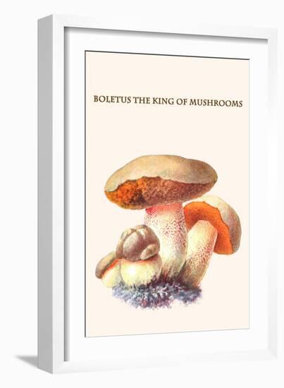 Boletus the King of Mushrooms-Edmund Michael-Framed Art Print