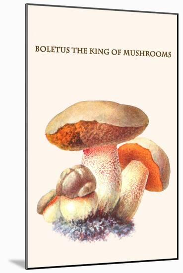 Boletus the King of Mushrooms-Edmund Michael-Mounted Art Print