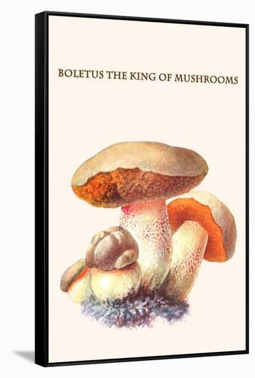 Boletus the King of Mushrooms-Edmund Michael-Framed Stretched Canvas