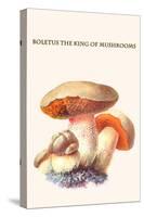 Boletus the King of Mushrooms-Edmund Michael-Stretched Canvas