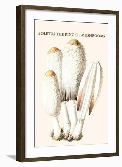 Boletus the King of Mushrooms-Edmund Michael-Framed Art Print