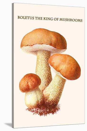 Boletus the King of Mushrooms-Edmund Michael-Stretched Canvas