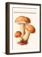 Boletus the King of Mushrooms-Edmund Michael-Framed Art Print