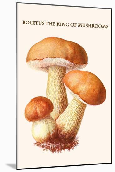 Boletus the King of Mushrooms-Edmund Michael-Mounted Art Print