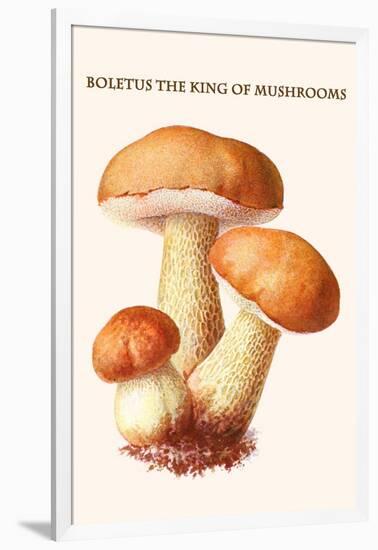 Boletus the King of Mushrooms-Edmund Michael-Framed Art Print