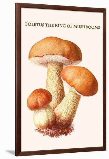 Boletus the King of Mushrooms-Edmund Michael-Framed Art Print